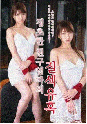 韩剧月升之江海报